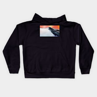 Red Mountain Kids Hoodie